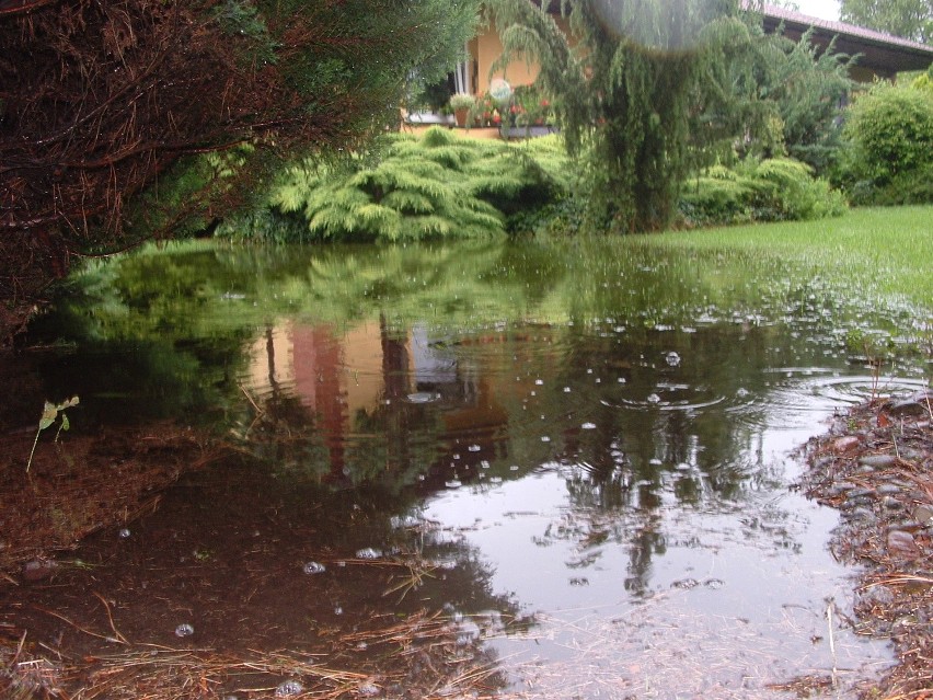 Mokronos Dolny: Woda zalewa podwórka. Mieszkańcy sami sobie winni? (LIST, ZDJĘCIA)