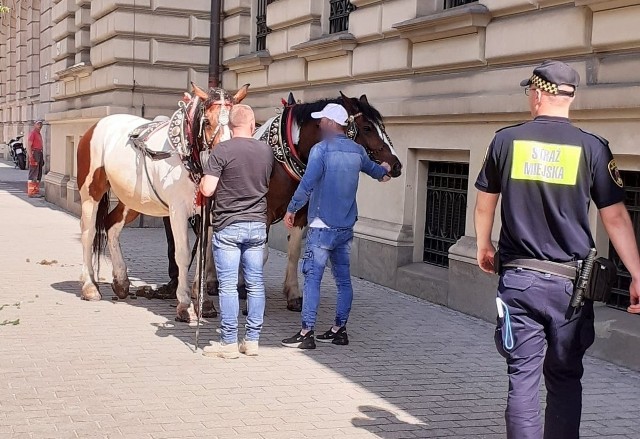 W Krakowie sceny jak z Dzikiego Zachodu