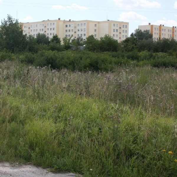 Ten obszar u podnóża osiedla Na Stoku w Kielcach zostanie przeznaczony pod nowe osiedle.