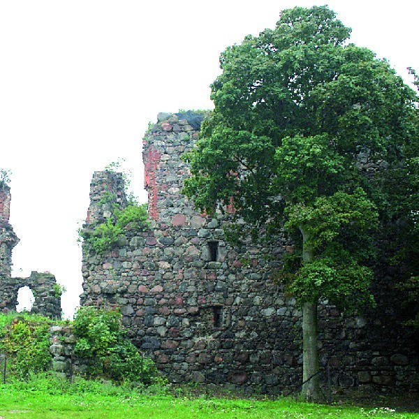 Do najcenniejszych zabytków na obszarze gminy Papowo Biskupie należą ruiny zamku krzyżackiego z XIII wieku znajdujące się właśnie w Papowie Biskupim