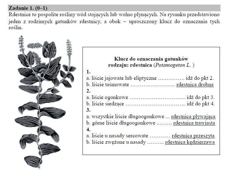 EGZAMIN GIMNAZJALNY 2018 Biologia, chemia, fizyka, geografia...