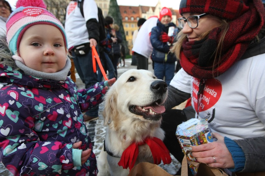 Goldeny też kwestują na WOŚP