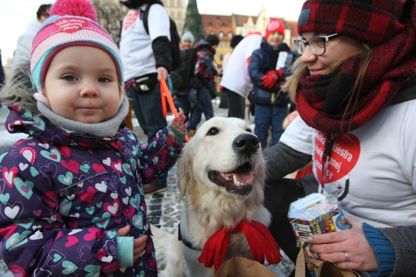 Goldeny też kwestują na WOŚP