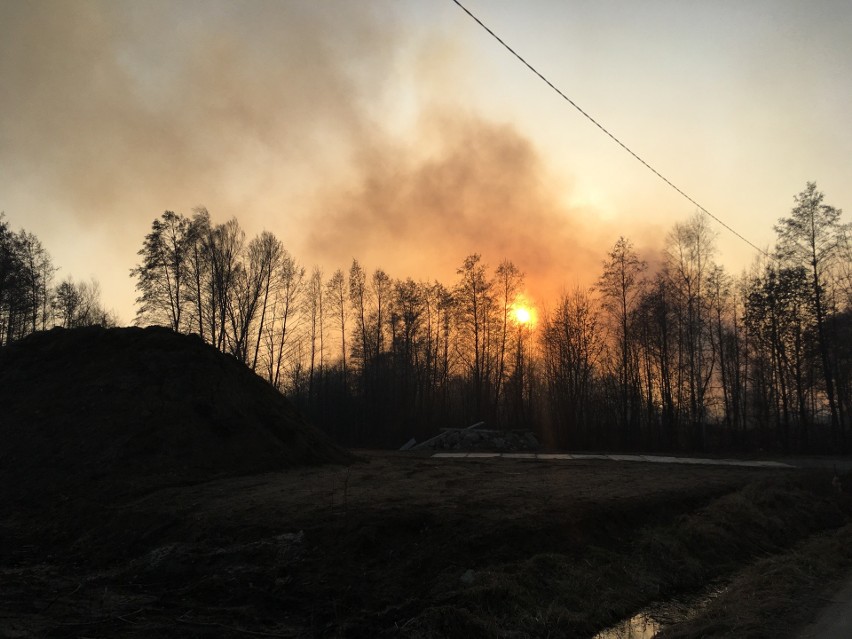 Palą się trawy w przysiółku Gęsiówka w Jasionce. Jest duży...