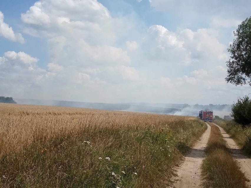 Do pożaru w Dębczynie pod Białogardem doszło w piątek...