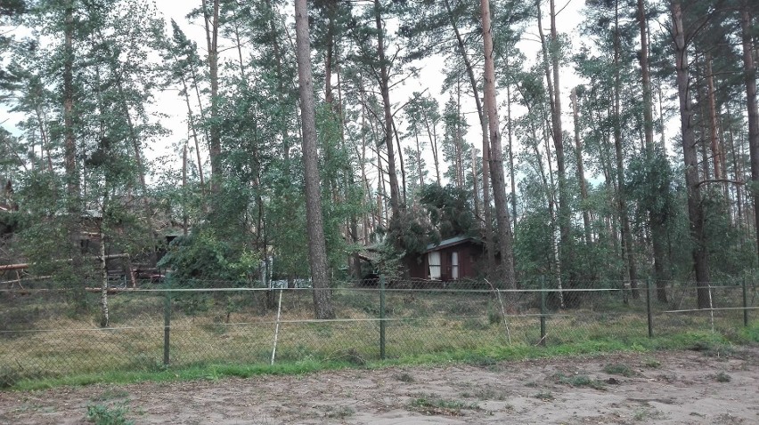 Zniszczenia w ośrodku Kaszubski Bór w Sominach.