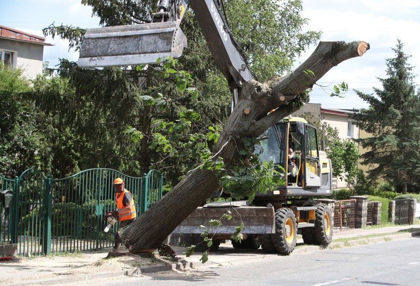 Remont drogi w Bezrzeczu ważniejszy od drzew? Jest umowa między mieszkańcami a starostwem w Policach