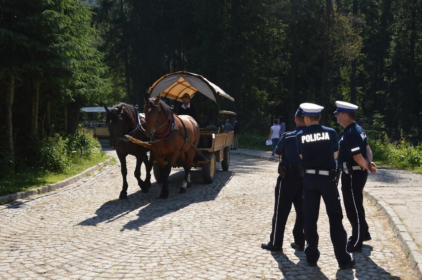 Tatry. Znów badają konie na szlaku do Morskiego Oka. W obstawie uzbrojonej policji [WIDEO,ZDJĘCIA]