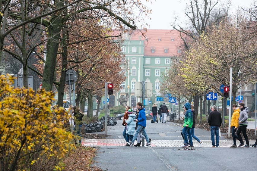 Złoty Szlak w Szczecinie. Część miasta zmieni się nie do poznania! [ZDJĘCIA] 