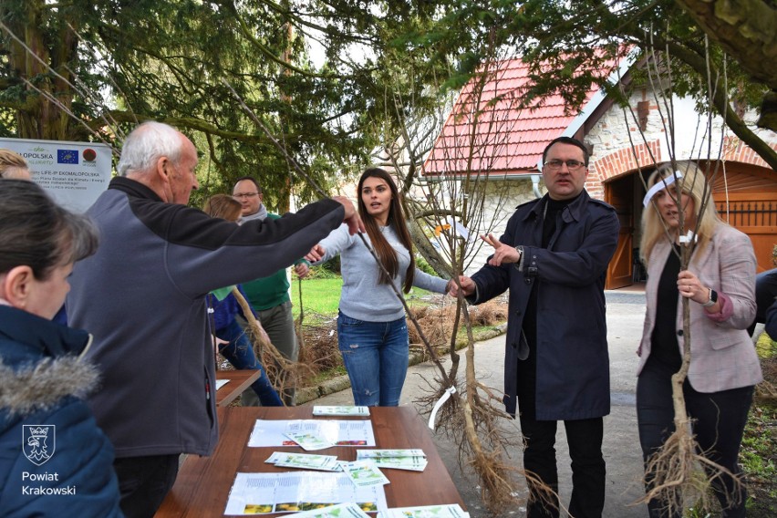 Rozdawanie sadzonek drzew owocowych w powiecie krakowskim