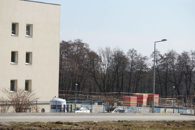 Zabudują wieżowcami park Drwinka? 