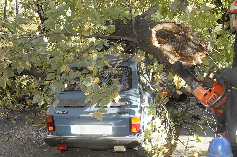Drzewo spadło na samochód ul.Słowackiego