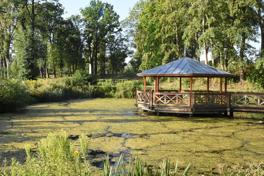 Pierwsze lata istnienia pokazały, że park jest pechowy pod każdym względem.