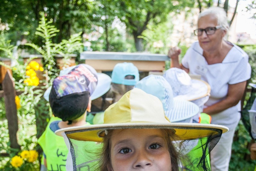 Wielkie święto pszczół
park botaniczny ukw