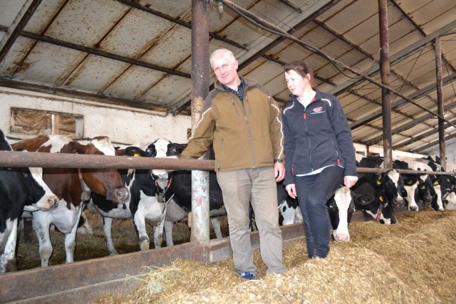 Sławomir Wiśniewski prowadzi swoje gospodarstwo w Ostrowie Świeckim wspólnie z żoną. Zaczynali w 1990 roku, a mieli wówczas tylko osiem krów. Przez lata ich przybywało. Teraz mają aż 140 sztuk