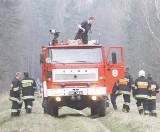 W Dylakach znów palił się las. Strażacy podejrzewają podpalenie