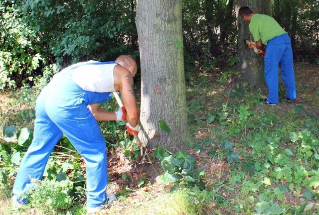 Więźniowie porządkowali teren przy budynku dawnej podstawówki. Trzeba było m.in. wyciąć samosiejki, wysprzątać boisko i postawić bramki.