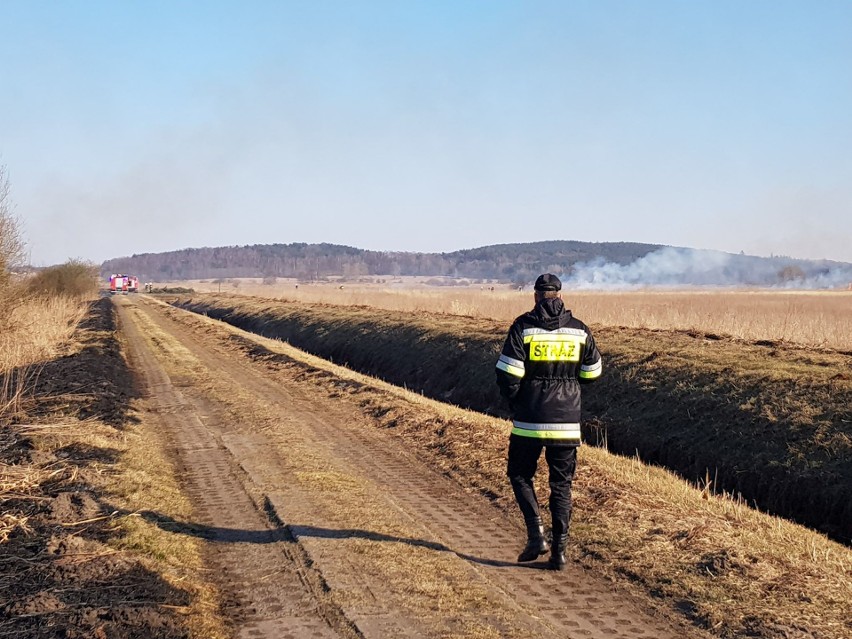 Płonie 13 hektarów nieużytków na przedłużeniu ulicy...
