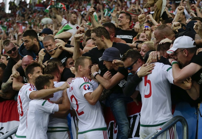 Euro 2016: Tamas Kadar zadebiutował na mistrzostwach. Węgry...