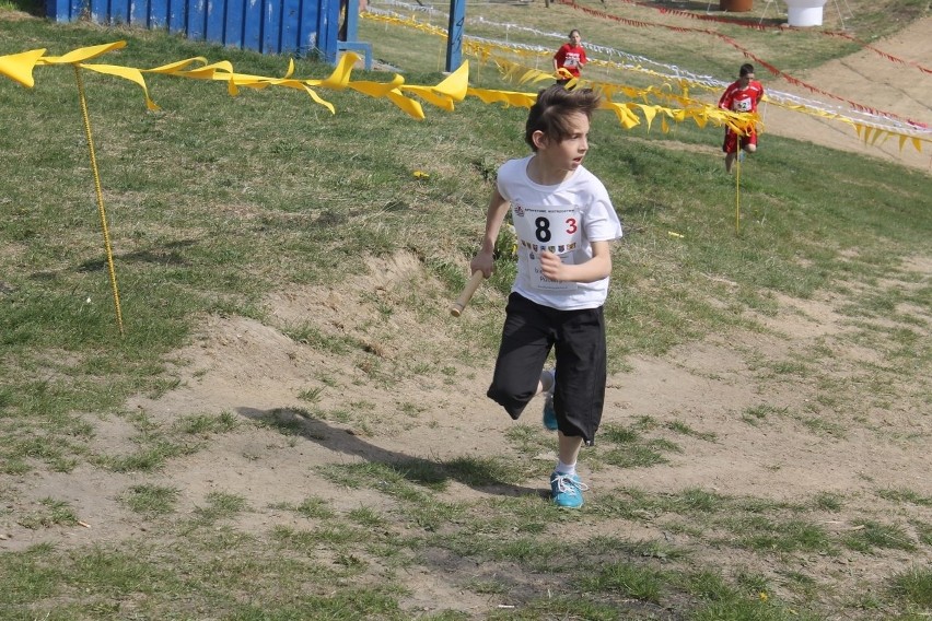 Cross Straceńców 2015. Sztafetowe Mistrzostwa Głogowa [Zdjęcia]