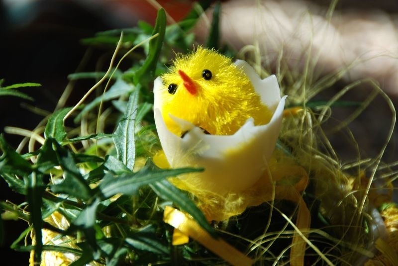 Wielkanoc w innych krajach - jak wygląda? 