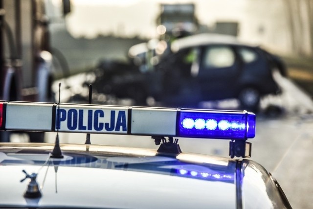 Z powodu dzików, które wbiegły na jezdnię, do wypadku doszło na ul. Łódzkiej w Toruniu. Jedna osoba trafiła do szpitala.