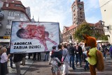 Krwawe płody w Toruniu nielegalne? Jest przełomowy wyrok!