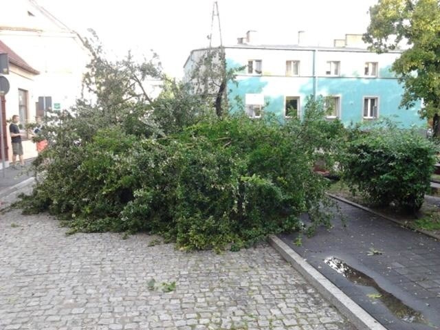 Gwałtowne burze przeszły nad Łódzkiem: brak prądu, zniszczone budynki, powalone drzewa [ZDJĘCIA]