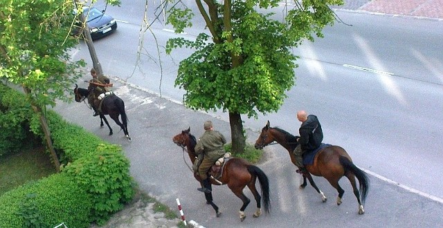 Trzech jeźdźców na koniach poruszało się chodnikiem ulicy Podleśnej już o godz. 19. Czy o 23 jeden z nich chciał wjechać konno do sklepu?