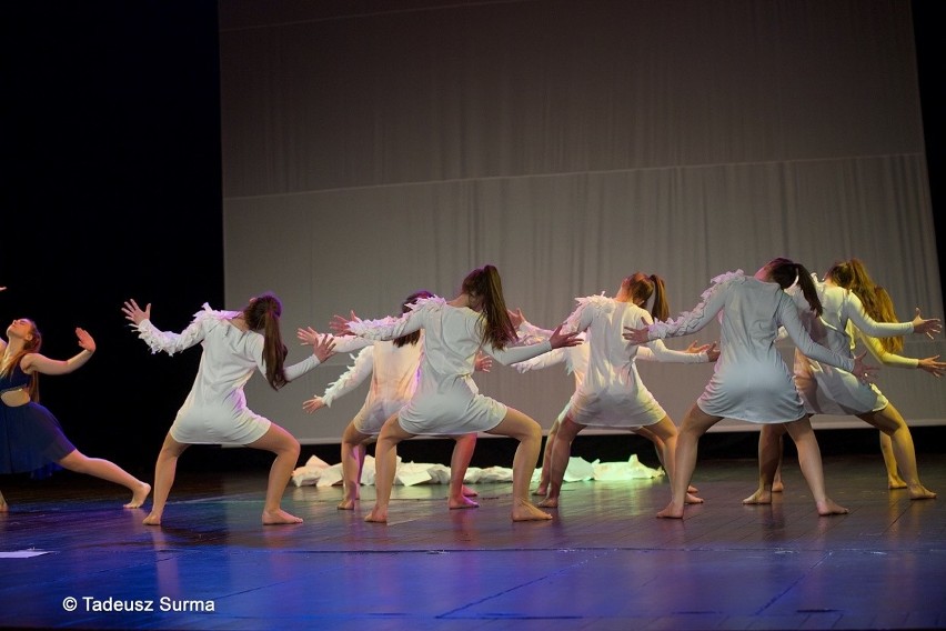 Młode tancerki zachwyciły stargardzką publiczność [zdjęcia]