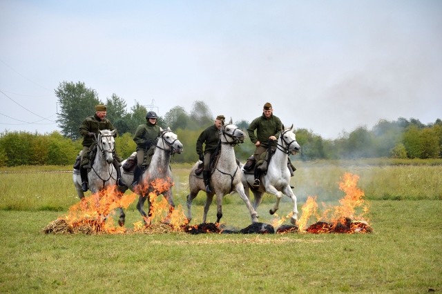 Na nadsańskich błoniach w Żabnie zorganizowany został efektowny pokaz tresury koni