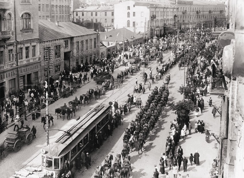 Wieliczka. Opowieść o historii Polski na dziedzińcu zamku