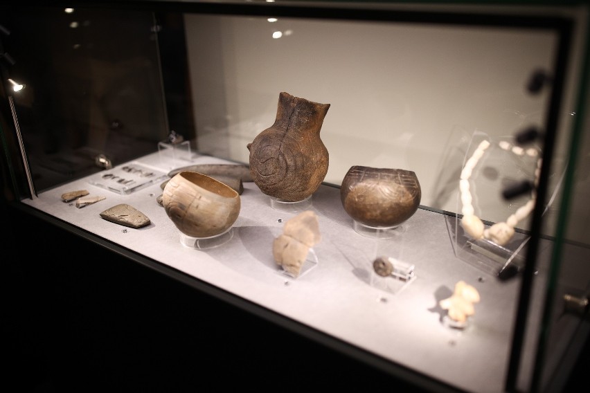 Strych pełen odległej historii. Muzeum Archeologiczne w Krakowie zyskało nowe przestrzenie wystawiennicze