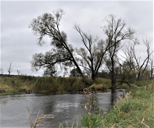 Zdjęcie ilustracyjne/Trzydziestokilkuletni mężczyzna nie mógł się wydostać z błota w terenie zalewowym rzeki Drwęcy