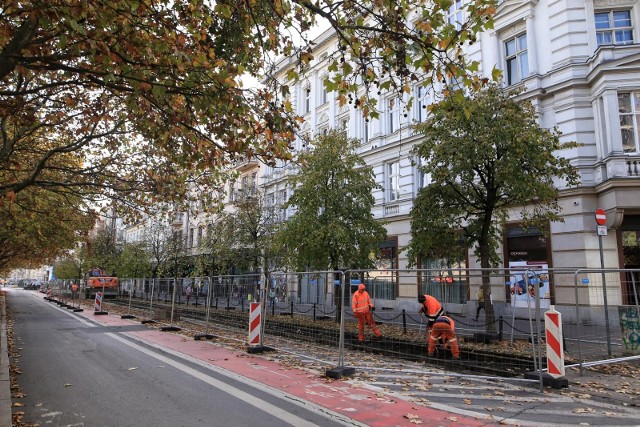 W obronie drzew stanęła Rada Miasta Poznania, posłanka Katarzyna Kretkowska, Stowarzyszenie Plac Wolności oraz mieszkańcy, którzy złożyli blisko 12 tys. podpisów pod petycją w sprawie zmiany planów remontowych.