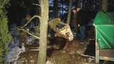 Gliniszcze Wielkie. Ranny łoś cztery dni dogorywał w lesie (wideo)