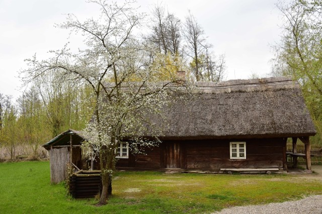 Pałucka chata w Muzeum Archeologicznym w Biskupinie.