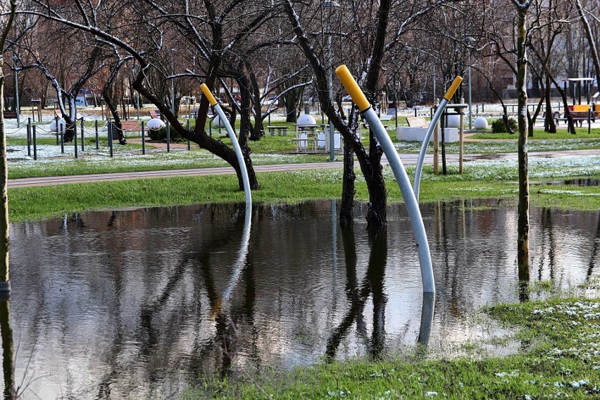 Tak wygląda zbudowany za ponad 20 mln zł park Rataje...