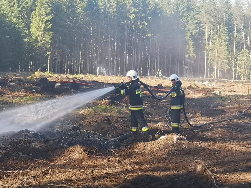 Pożar przy Kamiennych Kręgach w gm. Manowo