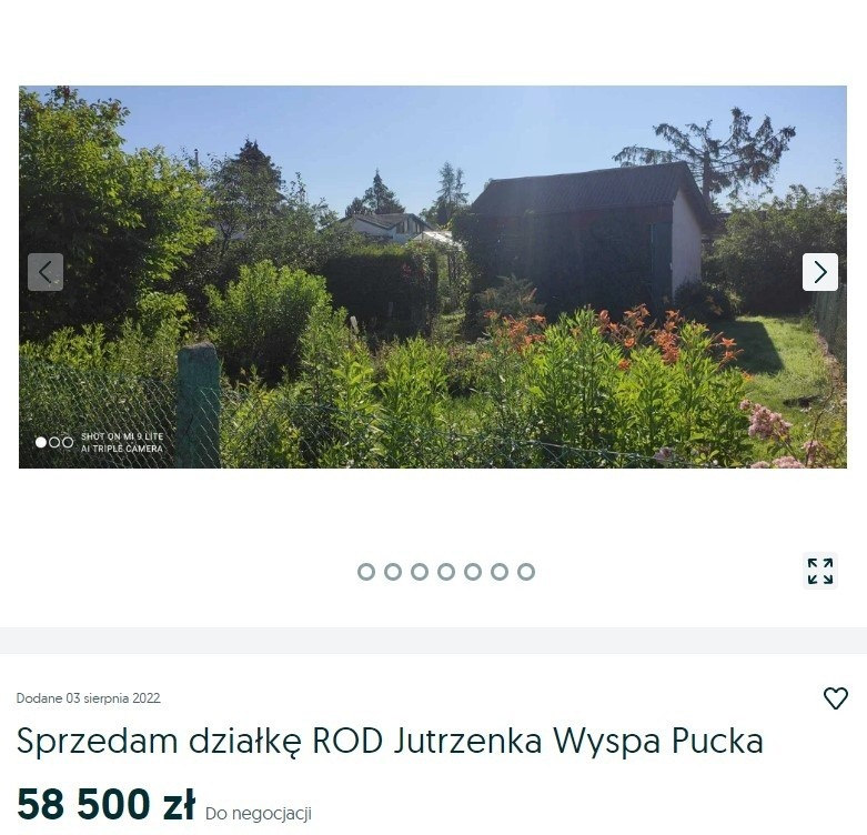Ogródki działkowe w Szczecinie są bardzo popularne. Wiele...