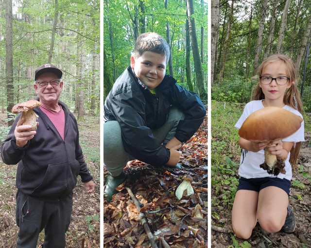 W krajeńskich i borowiackich lasach jest prawdziwy wysyp grzybów. Nasi Czytelnicy pochwalili się swoimi zbiorami >>>>>