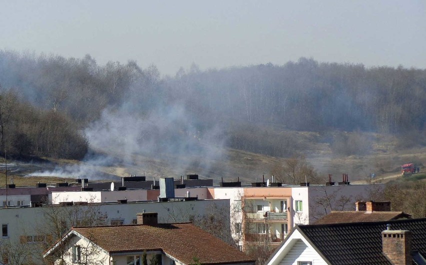 Płonęły trawy w rezerwacie przyrody w Gorzowie (zdjęcia Czytelnika)