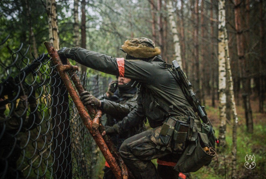 Terytorialsi ćwiczyli w lasach Nadleśnictwa Ostrów Mazowiecka. Szkolenie polegało na planowaniu, obserwacji i przejęciu lotniska