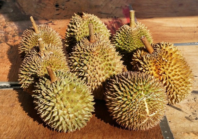 Durian słynie jako "najbardziej śmierdzący owoc świata". Ale jest też uważany za przysmak.