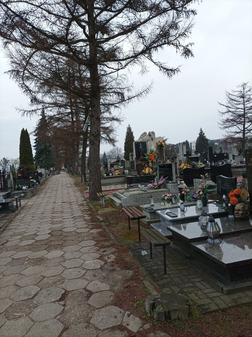 Pierwszy panel na cmentarzu pojawił się na Kurczakach.