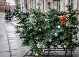 Pogoda na święta Bożego Narodzenia 2017. Mamy szansę na białą Wigilię! Spadnie śnieg [POGODA NA ŚWIĘTA]