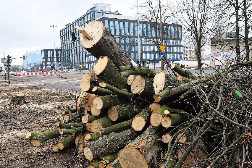 Remont Śmigłego Rydza w Łodzi. Wycinają drzewa, by posadzić nowe [ZDJĘCIA]