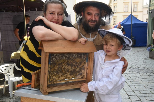 Gospodarze Malinówki często organizują warsztaty pszczelarskie
