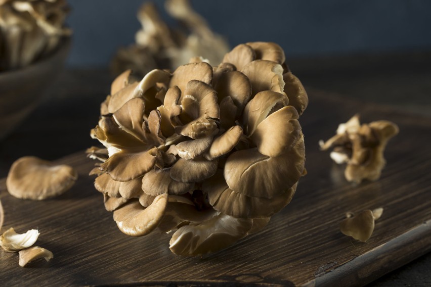 Smaczne grzyby hodowlane – boczniaki w 100 g dostarczają ok....