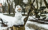 Uwaga idzie zima! W nocy ze środy na czwartek w Kujawsko-Pomorskiem spadnie śnieg